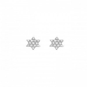 Earrings white Gold and...