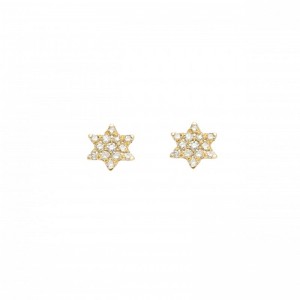 Earrings yellow Gold and...