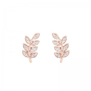 Earrings rose Gold and...